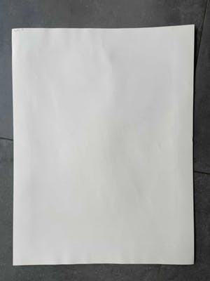 Wolff Buchholz - Zeefdruk - Nr 595 - Bergen kopen? Bied vanaf 25!