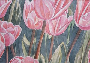 Ger Daniels - Roze Tulpen kopen? Bied vanaf 25!