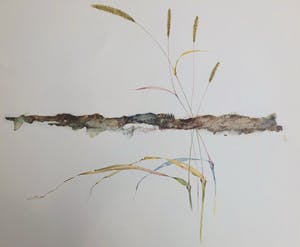Melle Oldeboerrigter - lot van 2: litho en incomplete map (12 van de 14) reproducties kopen? Bied vanaf 65!