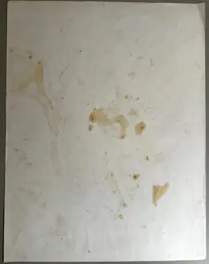 Armand Avril - Armand Avril - Grote kleurrijke gouache (65x50 cm) - gesigneerd kopen? Bied vanaf 449!