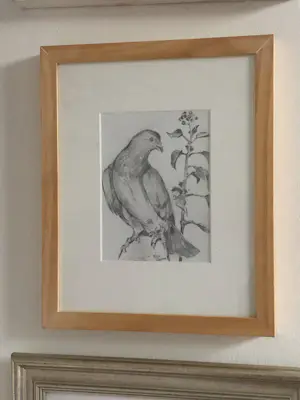 Rien Goené - Duif kopen? Bied vanaf 80!