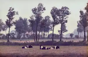 Aart Klein - Friesland, C-print verkauft für € 80!