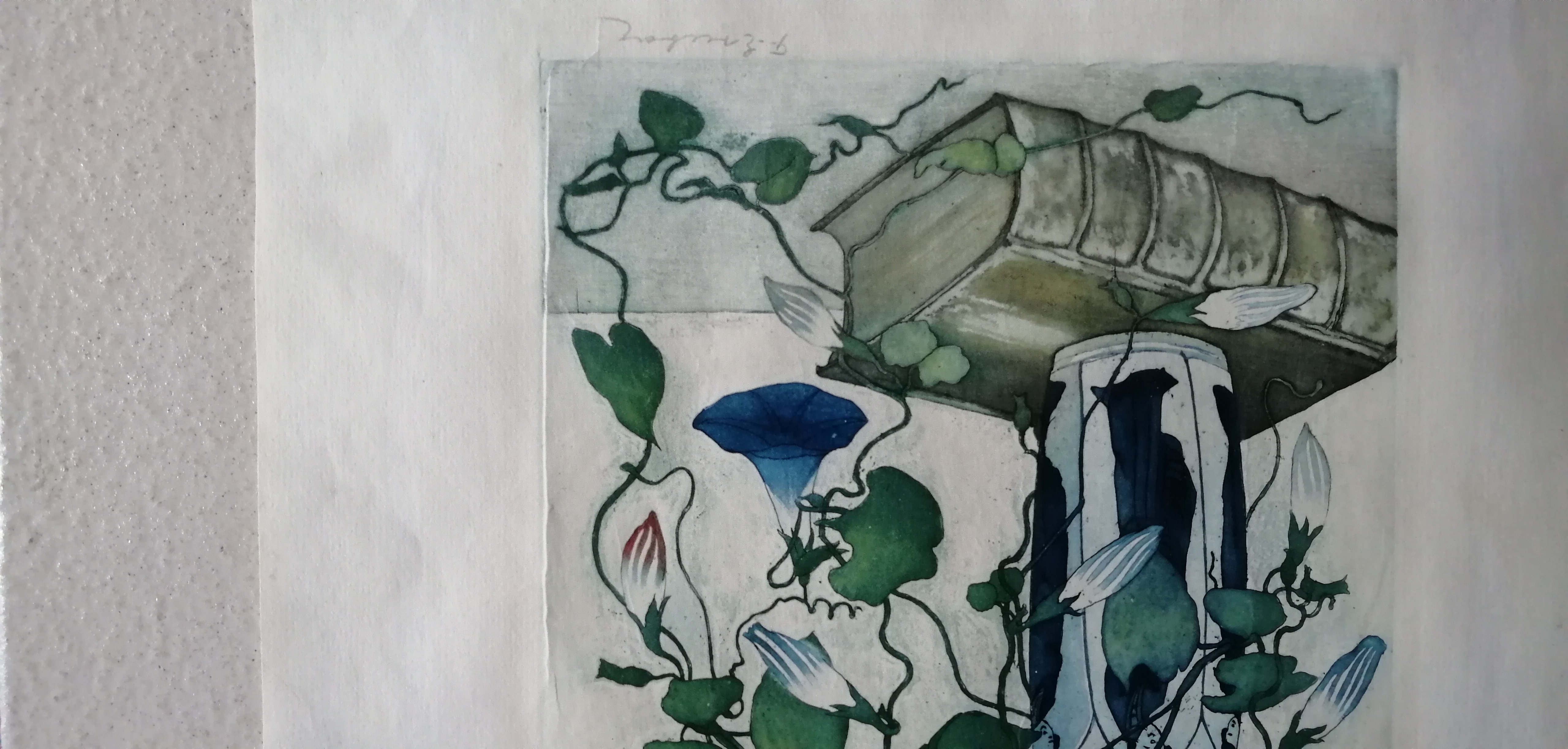 Frans Everbag - Tak met akkerwinde kopen? Bied vanaf 70!