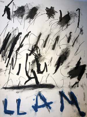 Cees Dolk - - LANN - verkocht voor € 65!