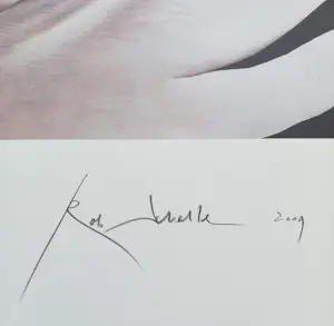 Rob Scholte - Sprookjes, zeefdruk (groot!) kopen? Bied vanaf 195!