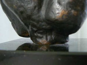 Brons (Onbekend) - Torso (Man & Vrouw) van Susanne den Hoed kopen? Bied vanaf 199!