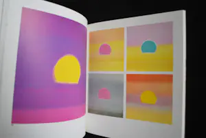 Andy Warhol - Cat. raisonné 1962-1980 -&- the American poster(1975) met los omslag kopen? Bied vanaf 75!