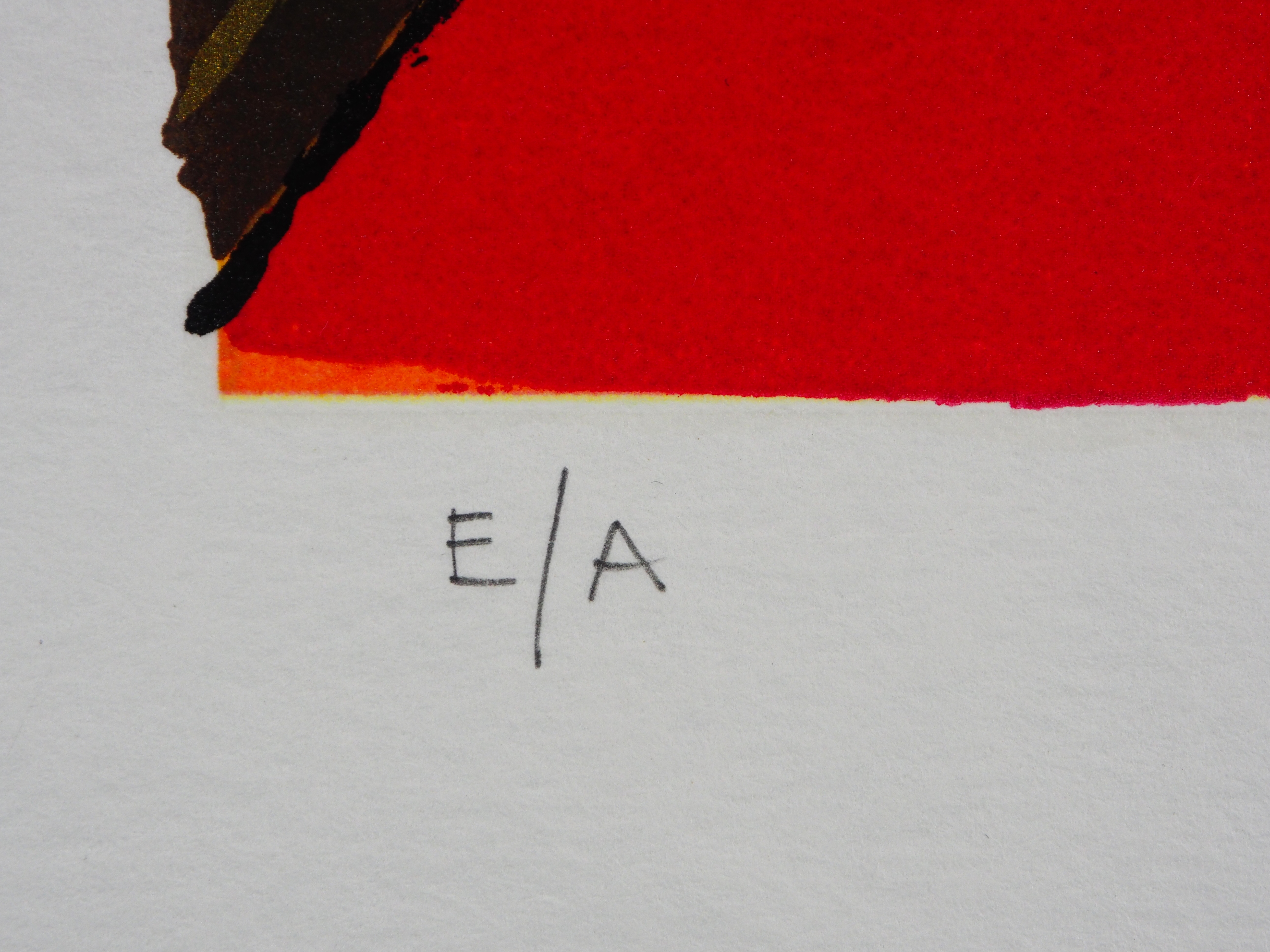 Ronald Boonacker - Lago di Garda I Italy kopen? Bied vanaf 40!