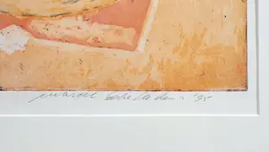 Marcel Schellekens - Kleurenlitho (1995) - Ingelijst kopen? Bied vanaf 120!