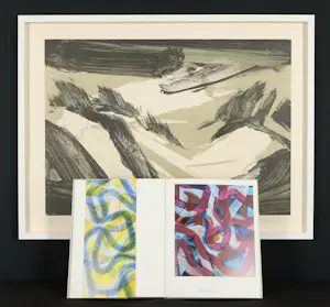 Robert Zandvliet - Exklusives Set : Signierte Litho (gerahmt) & Signiertes Buch kopen? Bied vanaf 890!