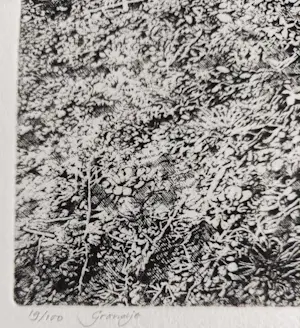 Ton de Laat - Grondje kopen? Bied vanaf 40!