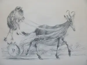 Peter Vos - Geit en vogel kopen? Bied vanaf 90!