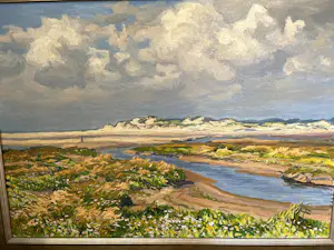 Ad Blok van der Velden - Texel (Sluftervlakte) kopen? Bied vanaf 1150!