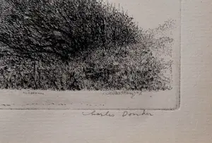 Charles Donker - Utrechts landschap kopen? Bied vanaf 100!