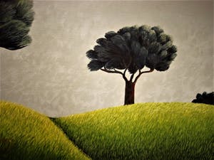 Erna van Mondfrans - Fraai verstild realistisch olieverf "Parasolbomem in Landschap" gesigneerd kopen? Bied vanaf 80!