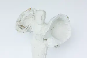 Johan Tahon - Sculptuur in gemengde techniek (gips, hout, touw verf), Zonder titel kopen? Bied vanaf 3000!