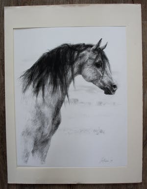 Piet Klaasse - Litho: Arabische hengst - 1974 kopen? Bied vanaf 55!