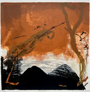 Henk van Vessem - Winter kopen? Bied vanaf 25!