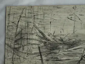 Theo van Hoytema - Litho, Drijvend nest van een dodaars, Texel - 1913 kopen? Bied vanaf 10!
