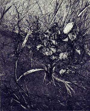 Reinder Homan - Dotter verkocht voor € 40!