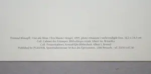 Fernand Khnopff - Een blauwe vleugel, 1894 - Offsetlithografie - 2003 kopen? Bied vanaf 100!