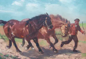 Henry Schouten - Boer met paarden kopen? Bied vanaf 350!