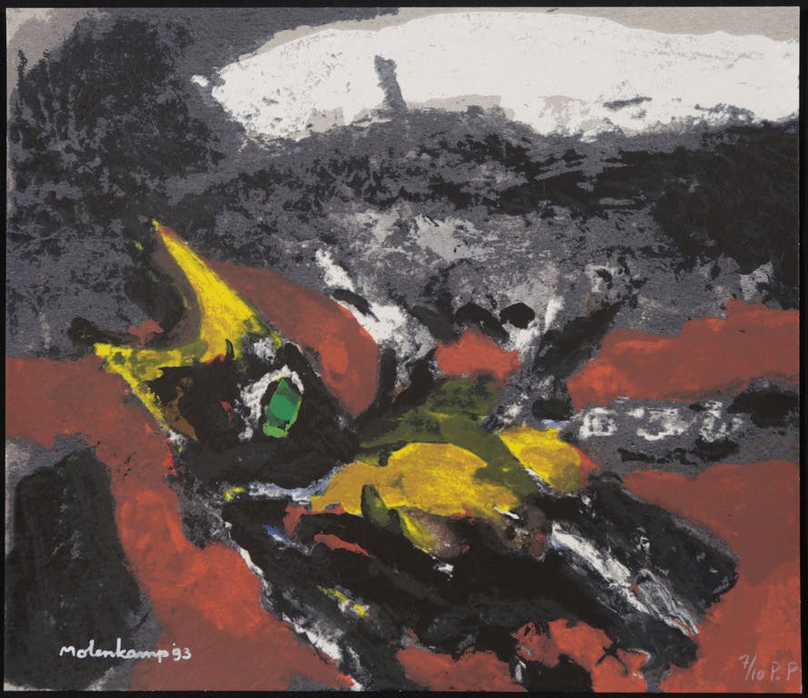 Nico Molenkamp - Nico Molenkamp: Zeefdruk, Z.T. vogel kopen? Bied vanaf 35!