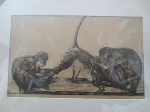 Dirk Homberg - 2x Langoeren Java en Oud Batavia kopen? Bied vanaf 250!