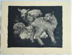 Dirk Homberg - 3x Litho , “Geitjes” – ca 1935 kopen? Bied vanaf 25!