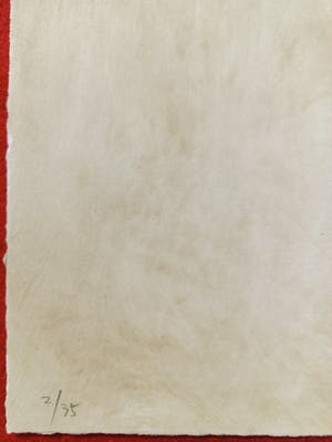 Yukinori Yanagi - Wandering Position, portfolio met 5 gesigneerde etsen kopen? Bied vanaf 1795!