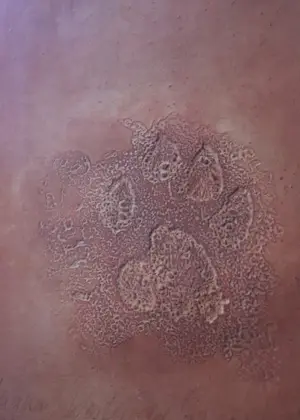 Peter Westerveld - Voetafdruk Jaguar 98 kopen? Bied vanaf 150!