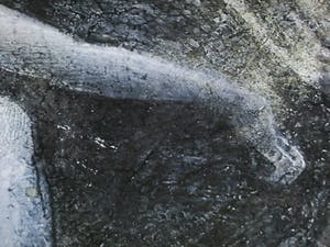 Ernst Fuchs - " Vorhang auf " - Giclée op linnen 2012 - handgesigneerd - 0plage 300 kopen? Bied vanaf 99!