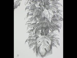 Peter Vos - Uil in boomtop - Litho kopen? Bied vanaf 100!