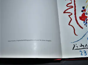 Pablo Picasso - Kunstboek met kleurenlitho kopen? Bied vanaf 125!