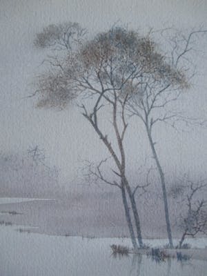 Denkor - aquarel kopen? Bied vanaf 40!