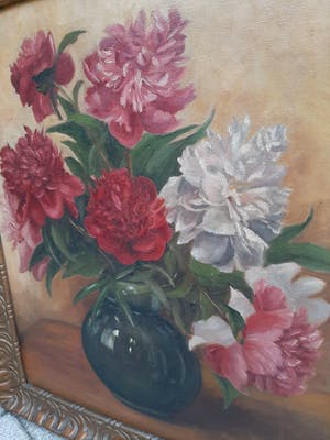 Lien Straver - Pioenrozen kopen? Bied vanaf 50!