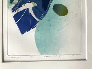Hans Vredegoor - Hemisphere / Barth-lijst ... handgesigneerd / kleine oplage! kopen? Bied vanaf 40!