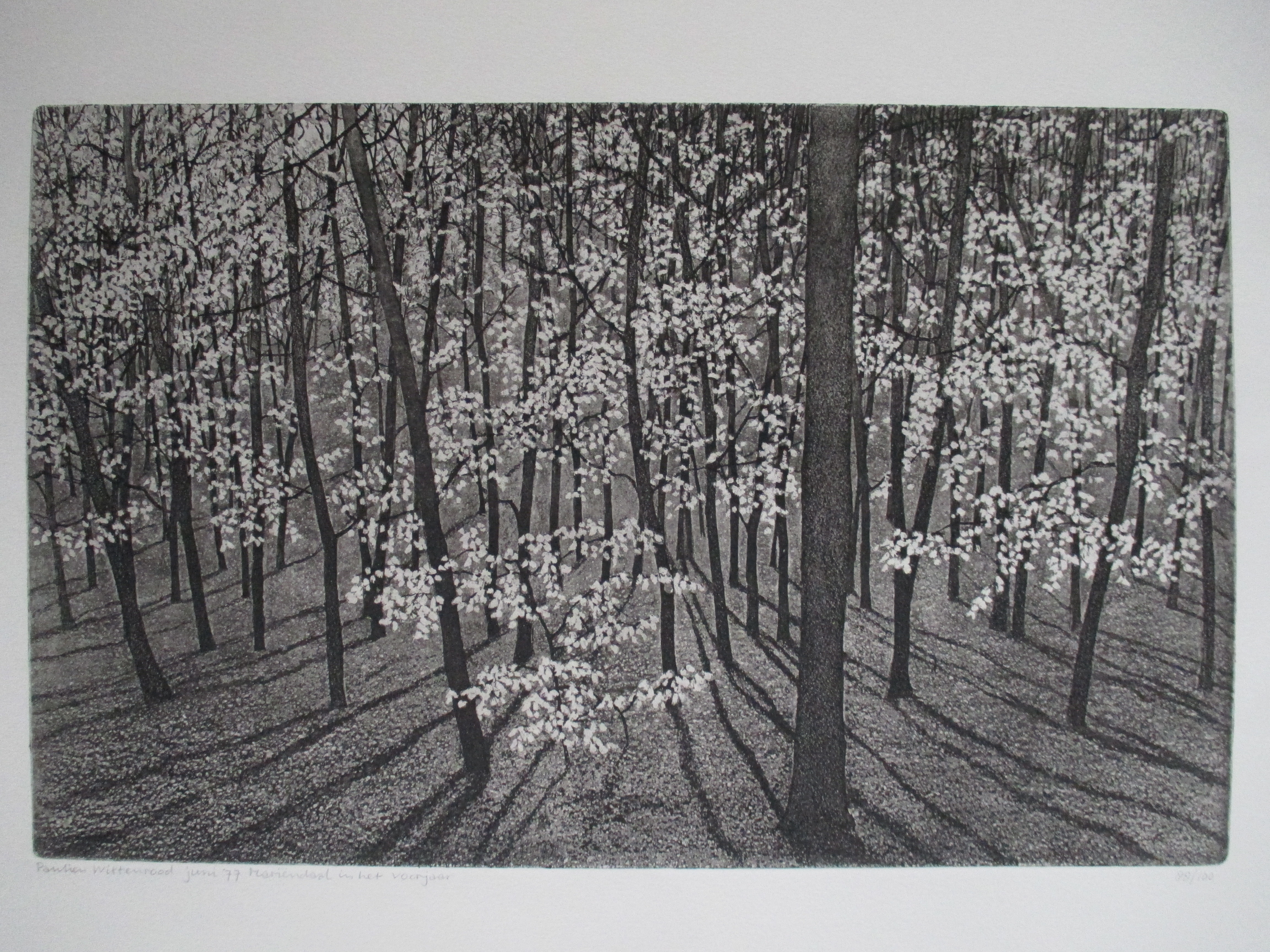 Paulien Wittenrood - Ets "Mariëndaal in het voorjaar" 1977 kopen? Bied vanaf 55!