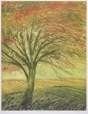 Henk Kastelijn - Kleurenets, Boek der stormen - Paddestoelen zoeken kopen? Bied vanaf 1!