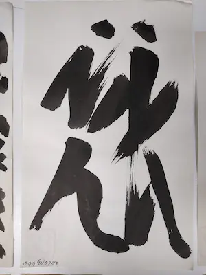 Ernst Vijlbrief - 5 inkttekeningen + foto's kopen? Bied vanaf 20!