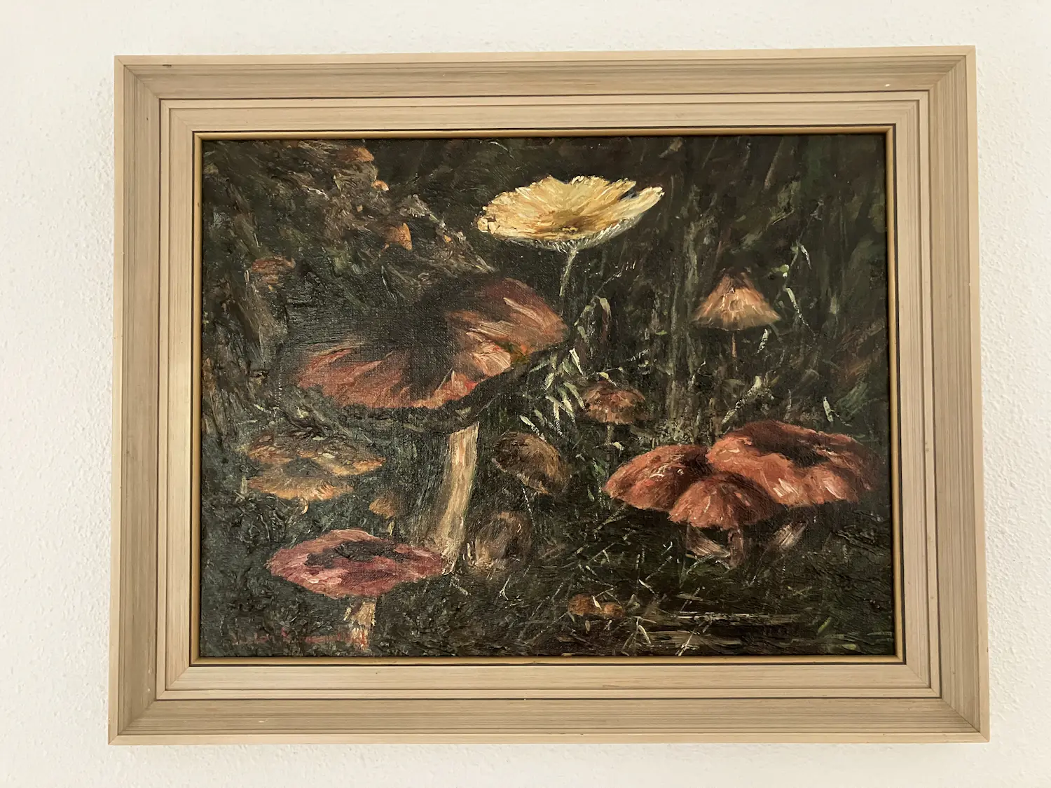 Pierre Victor Moerenhout (1856-1935)