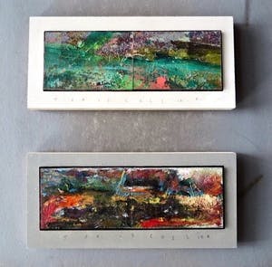 Joris Collier - Green river / Wild Countryside - Set van 2 tweeluiken kopen? Bied vanaf 1!