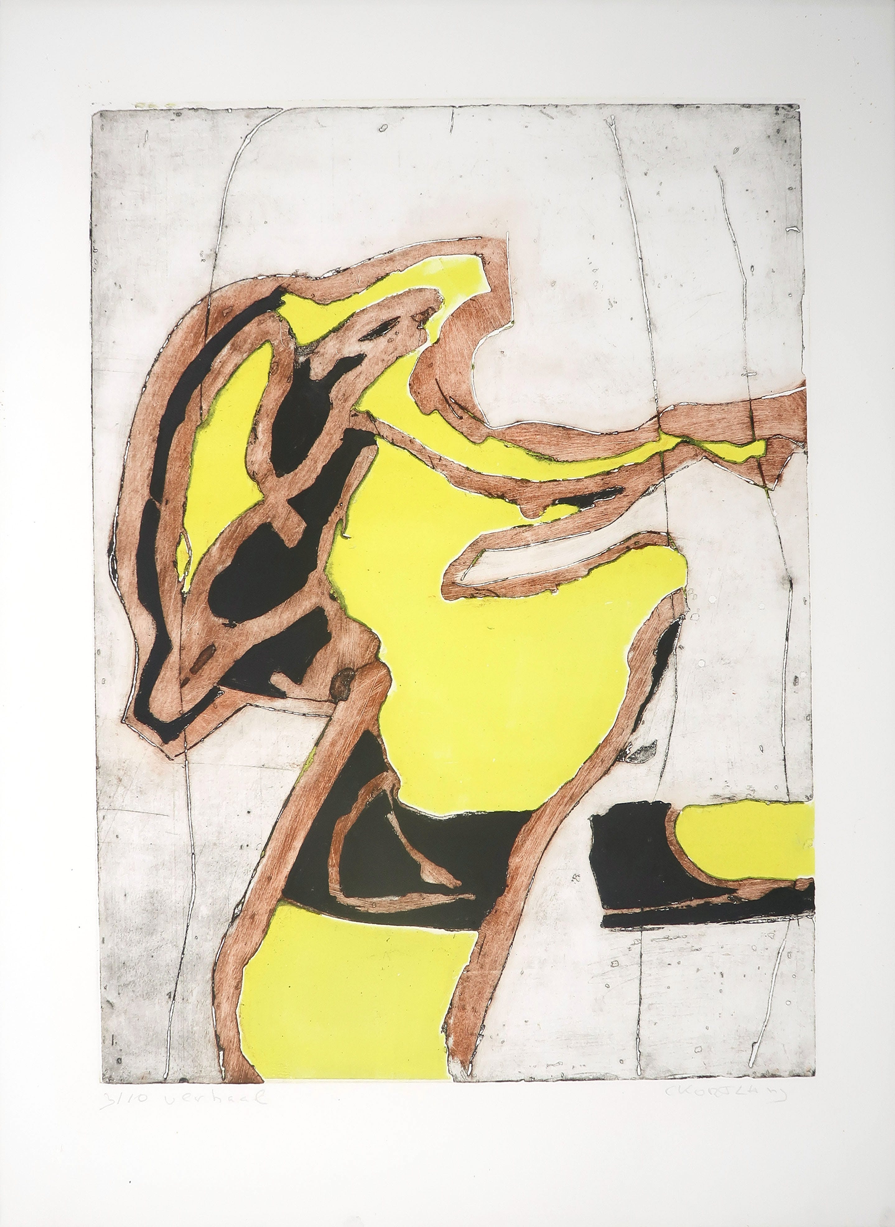 Cees Kortlang - Kleurenets, Yellow Mystic  kopen? Bied vanaf 35!