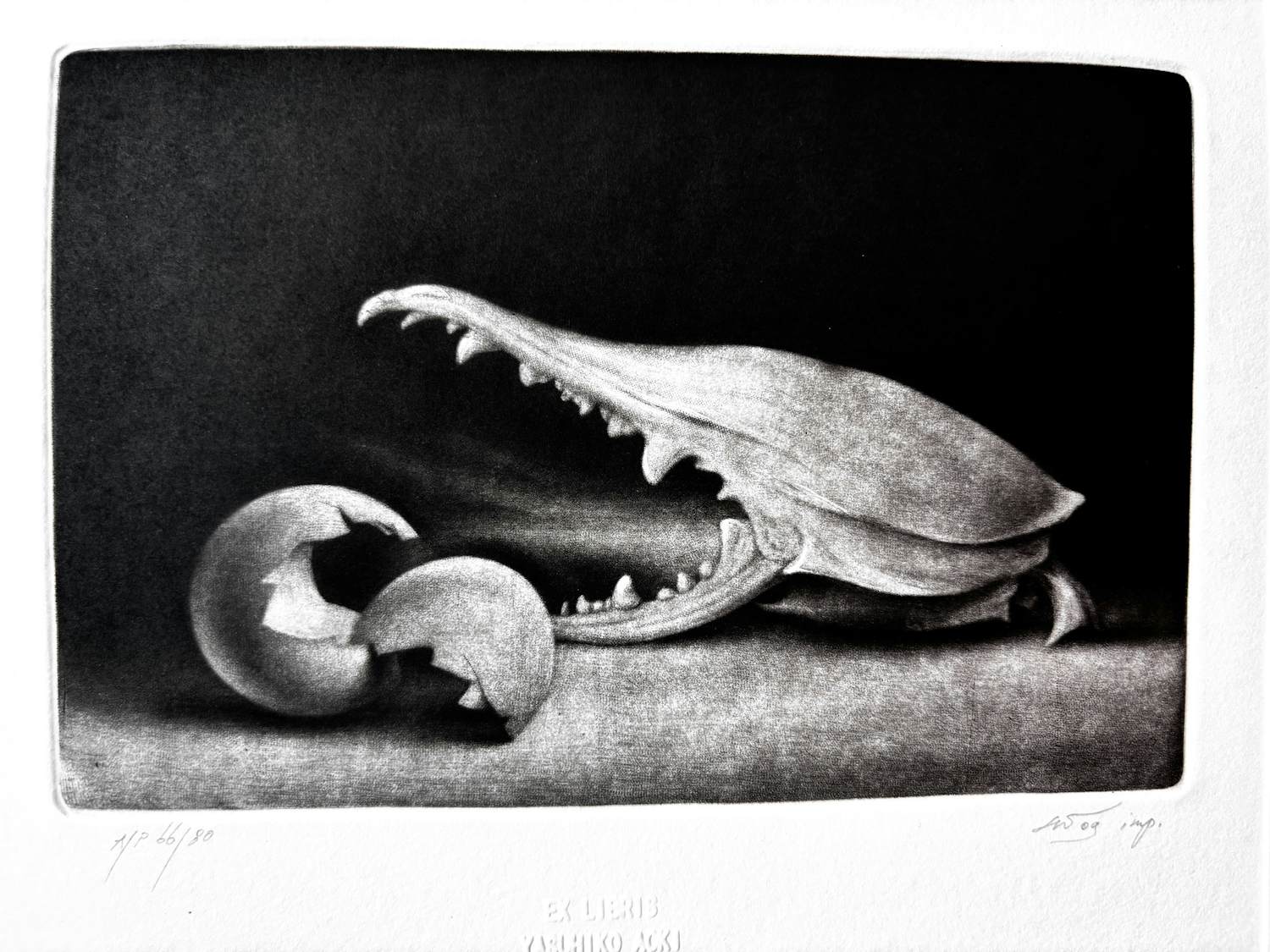 Konstantin Chmutin - Exlibris Yasuhiko Aoki 2 kopen? Bied vanaf 95!