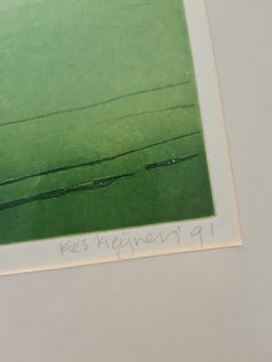 Ries Kleijnen - Polder kopen? Bied vanaf 30!