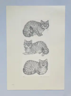 Ella van Schaik - poes, poes & poes kopen? Bied vanaf 10!