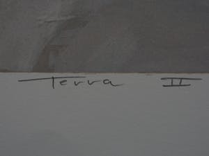 Ron van der Werf - Terra II kopen? Bied vanaf 50!