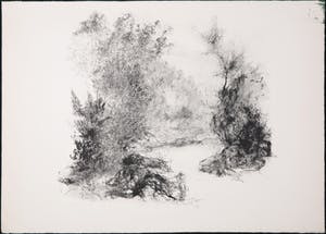 Jaap Kruijff - Litho, z.t. Bomen en struikgewas kopen? Bied vanaf 1!