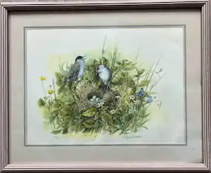 Marjolein Bastin - Zwartkoppen kaufen? Bieten Sie von 90!