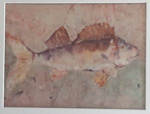 Gerda Spierenburg - Baars kopen? Bied vanaf 20!